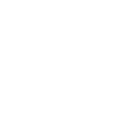 Search Icon