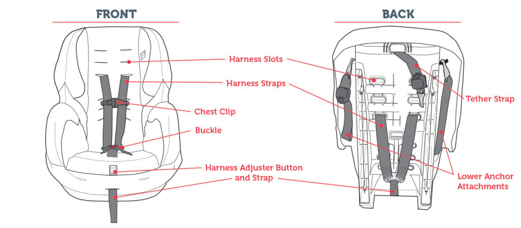 Basic parts on a car seat of the front and back of a car seat.  