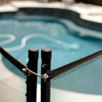 Pool Fence enclosing swimming pool