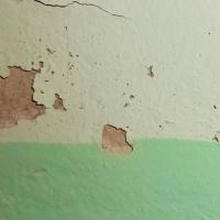 Chipping paint crumbling off a wall.