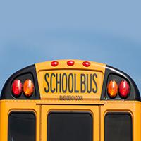 School Bus School Bus