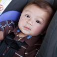 A baby in a car seat.