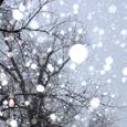 Winter snowflakes mean it is time for winter safety percautions