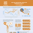 Medication Safety Infographic (2012)