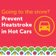 Prevent Heatstroke in Hot Cars
